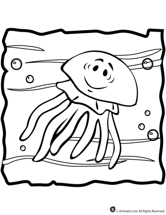 dibujo de medusa para colorear