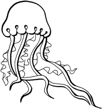 dibujo de medusa